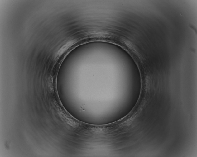 X0000101110970200807031736
