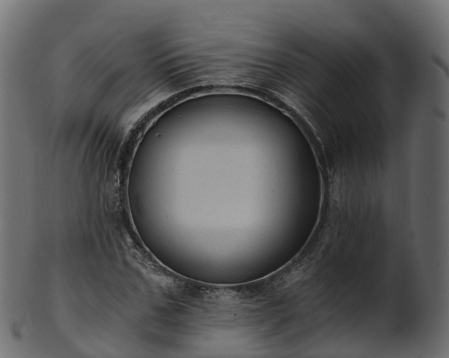X0000101110971200807031736