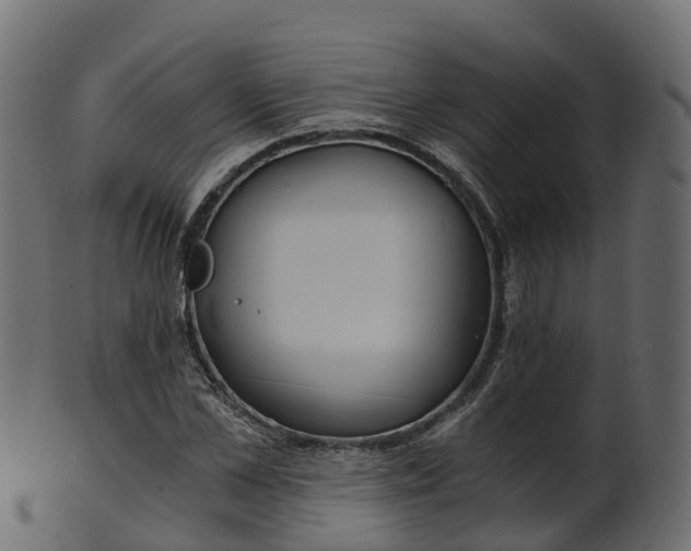 X0000101110973200807031736