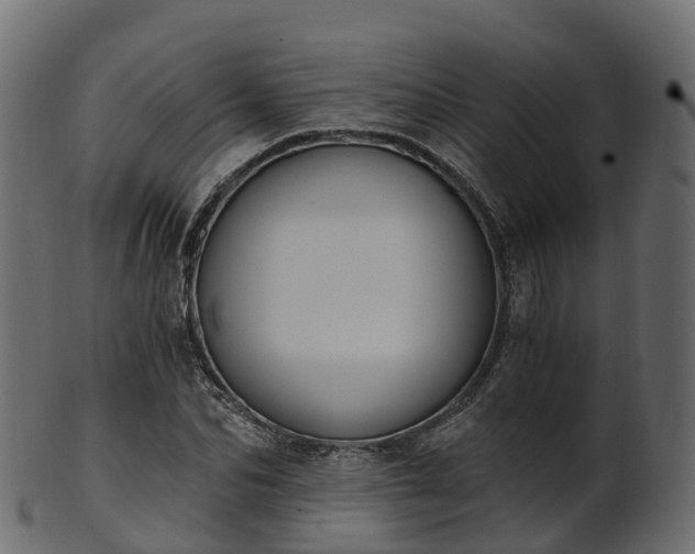 X0000101110974200807031736