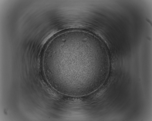 X0000101110975200807031736