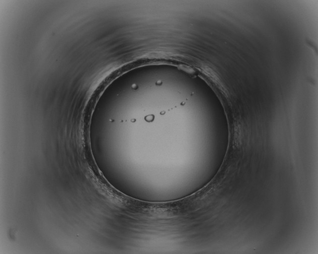 X0000101110976200807031736