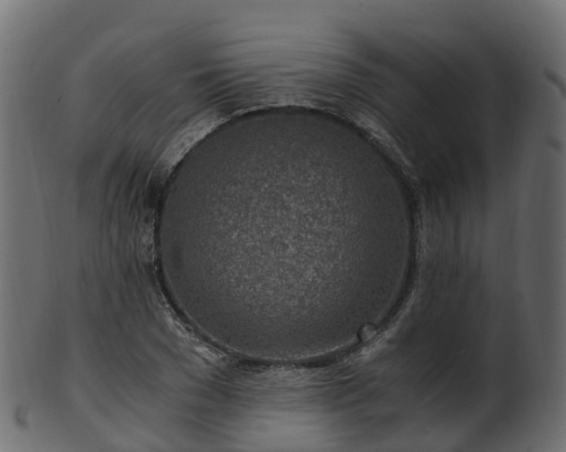 X0000101110977200807031735