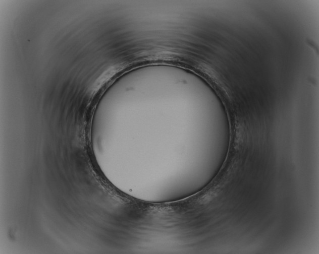 X0000101110978200807031735