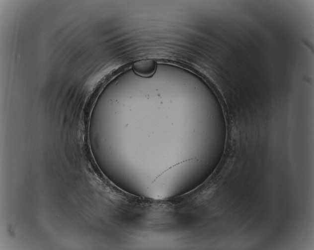 X0000101110979200807031735
