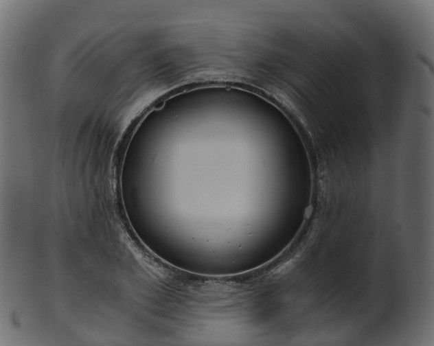X0000101110981200807031735