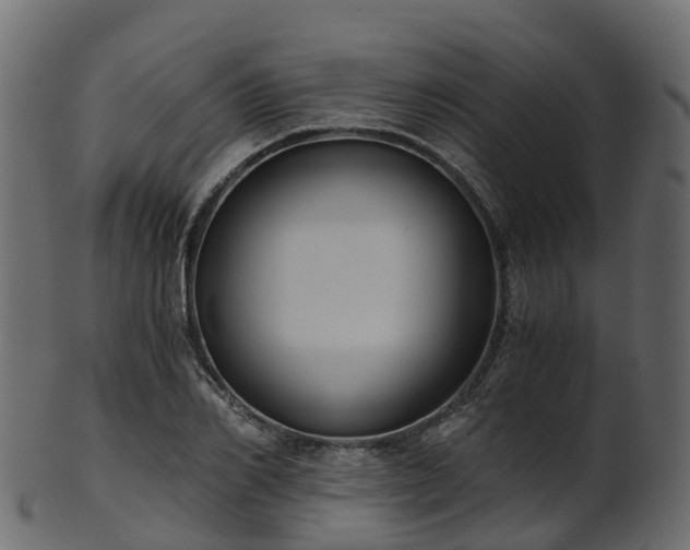 X0000101110982200807031735