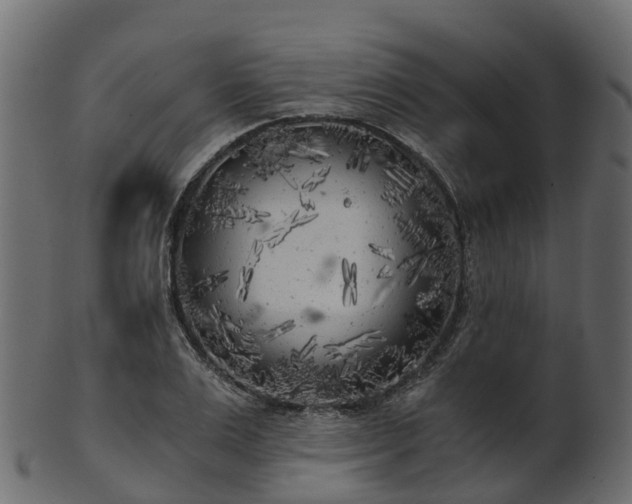 X0000101110983200807031735