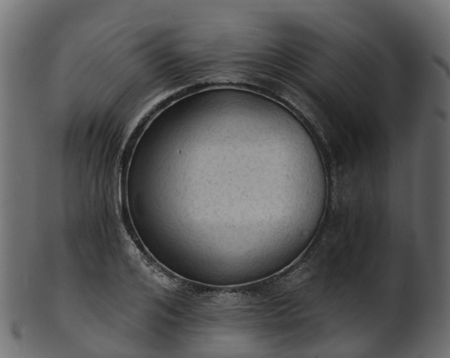 X0000101110984200807031735