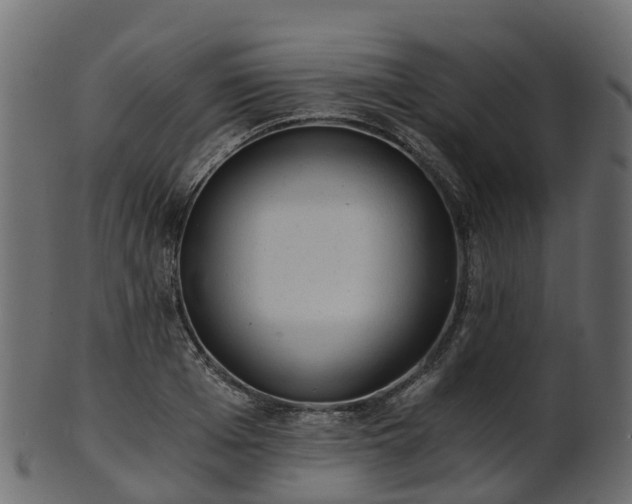X0000101110985200807031735