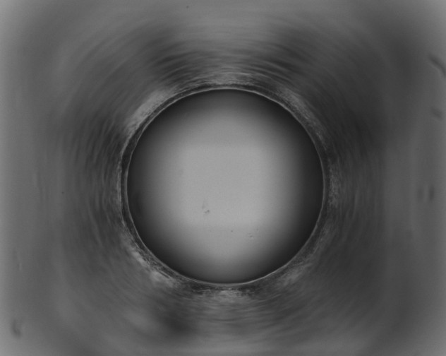 X0000101110986200807031735