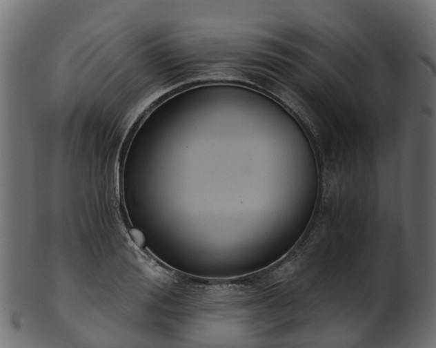 X0000101110988200807031735