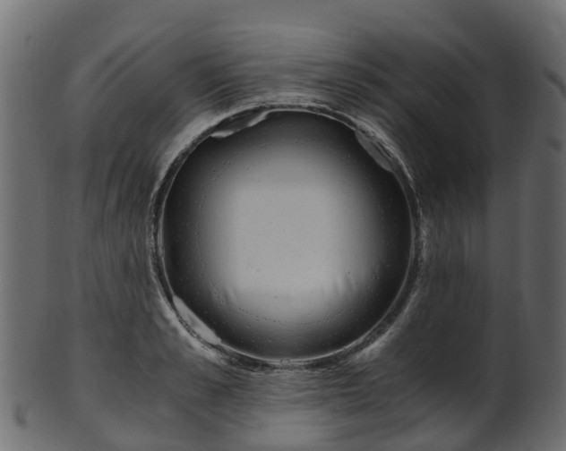 X0000101110989200807031735
