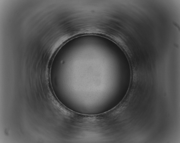 X0000101110990200807031735