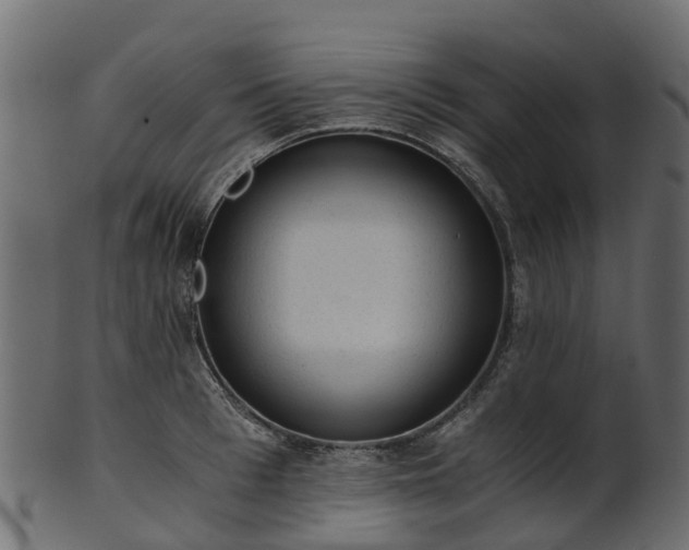 X0000101110993200807031735