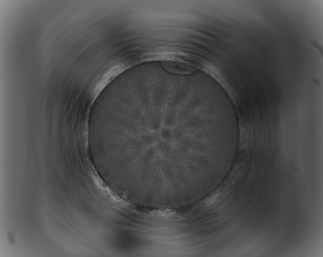 X0000101110994200807031735