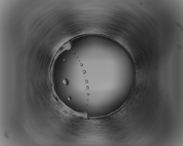 X0000101110996200807031735