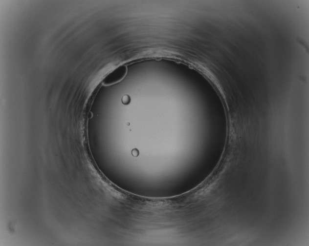 X0000101110997200807031735