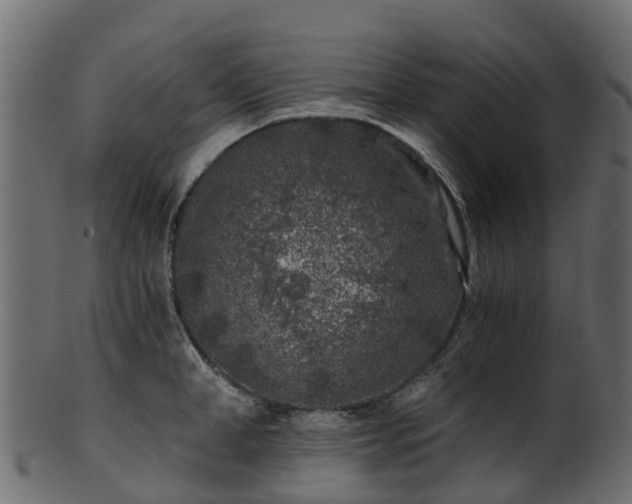 X0000101110998200807031735