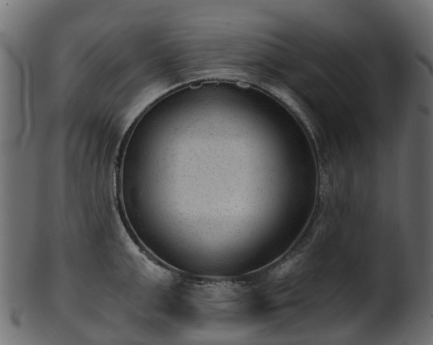 X0000101110999200807031735