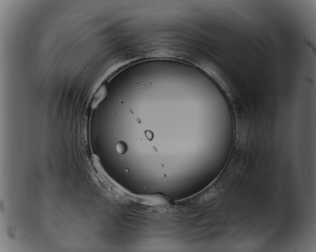 X0000101111000200807031735