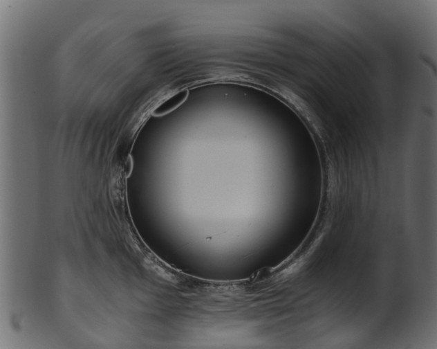 X0000101111001200807031735