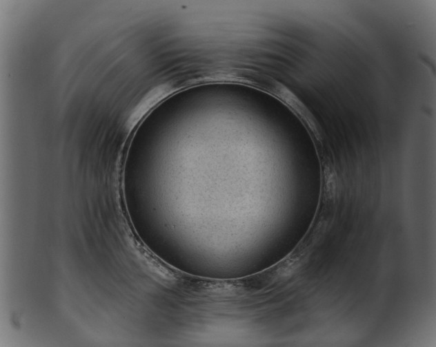 X0000101111002200807031735