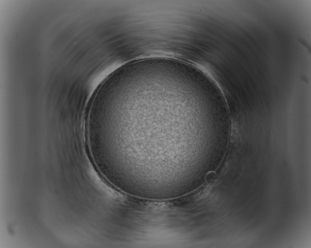 X0000101111003200807031735