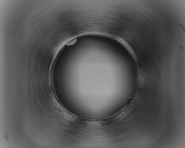 X0000101111004200807031735