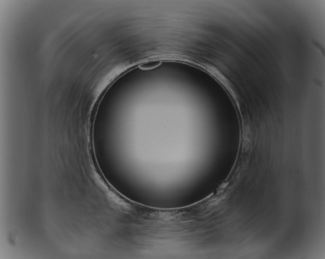 X0000101111005200807031735
