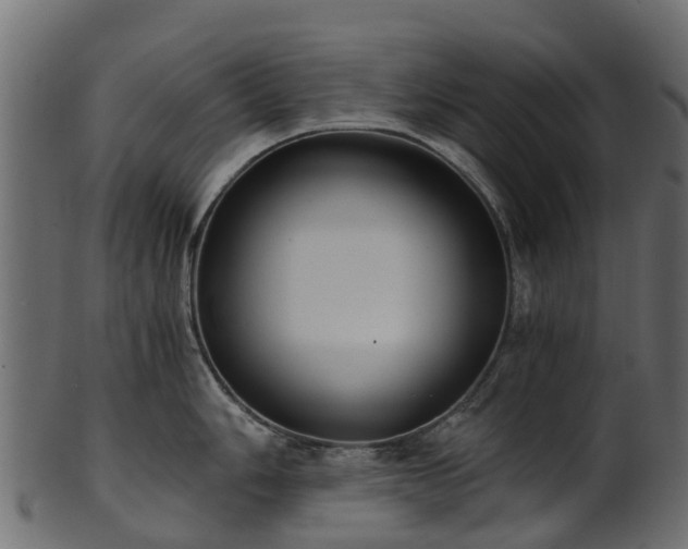 X0000101111006200807031735