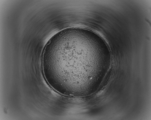 X0000101111007200807031735