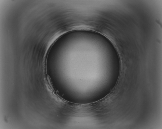 X0000101111008200807031735
