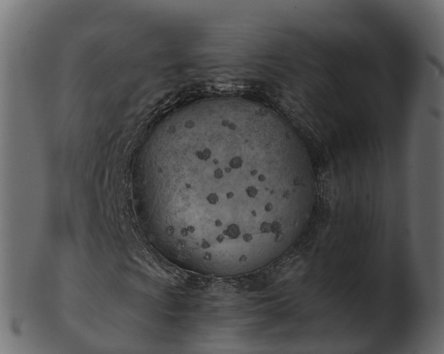 X0000101111009200807031734