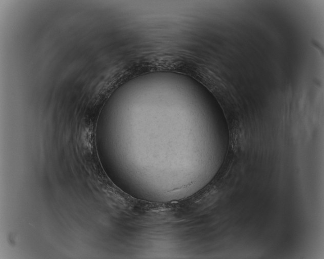 X0000101111010200807031734