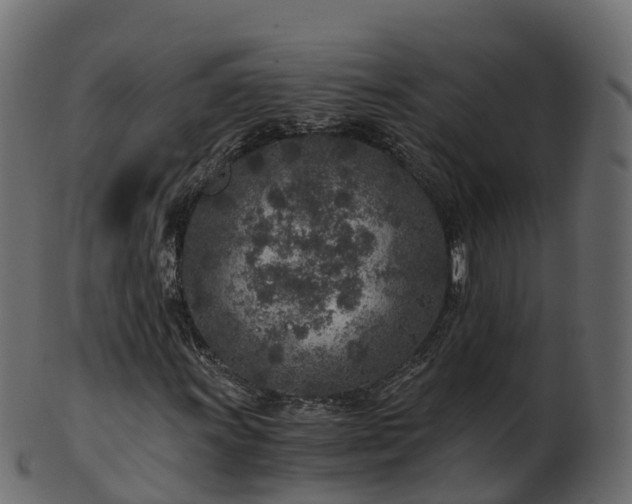 X0000101111011200807031734