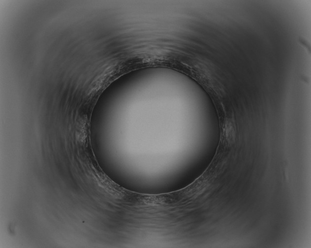 X0000101111012200807031734