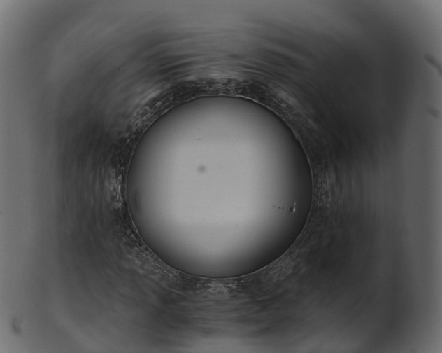 X0000101111013200807031734