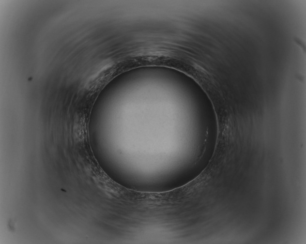 X0000101111014200807031734