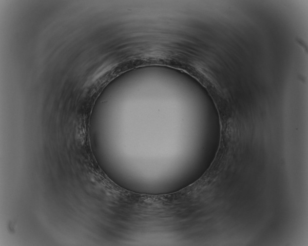 X0000101111015200807031734