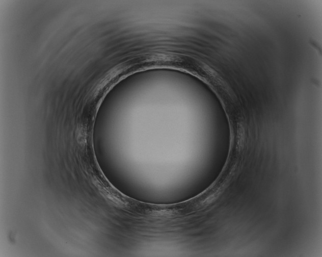 X0000101111017200807031734