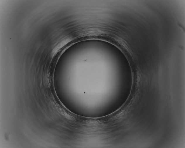 X0000101111018200807031734