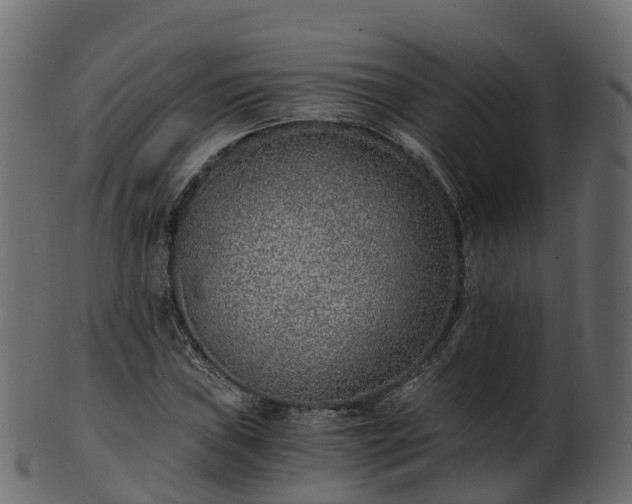 X0000101111019200807031734