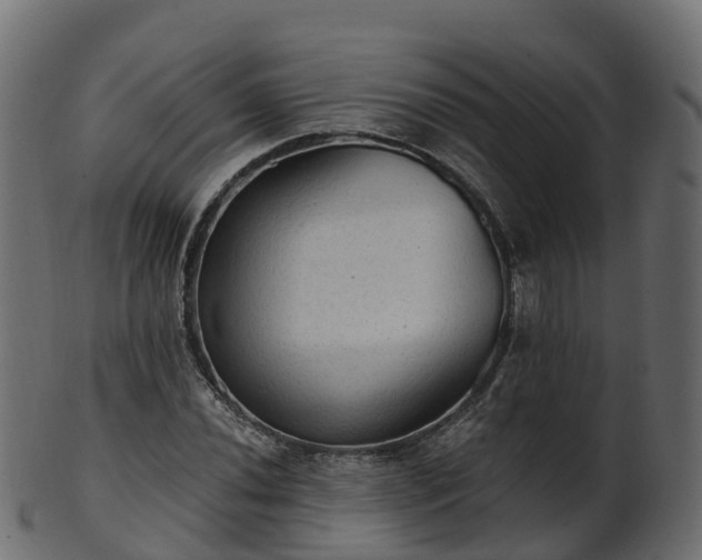 X0000101111020200807031734