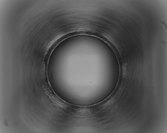 X0000101111021200807031734