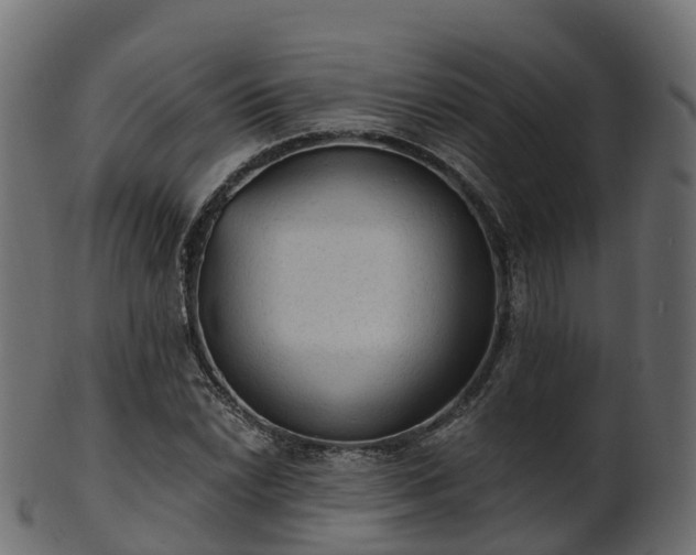 X0000101111022200807031734