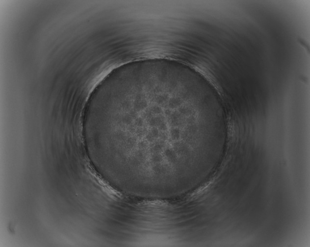 X0000101111023200807031734