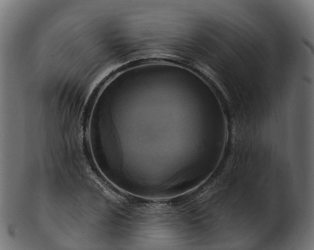 X0000101111024200807031734