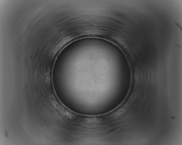 X0000101111025200807031734