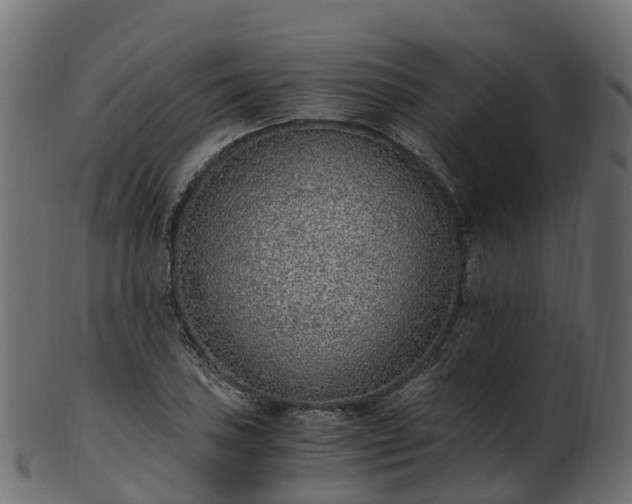 X0000101111027200807031734